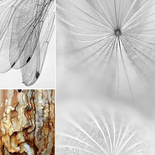 Inspiratie Inspiratie